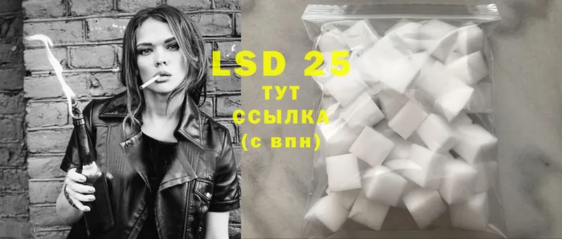 где продают наркотики  Вытегра  LSD-25 экстази ecstasy 